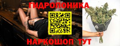 мяу мяу мука Камышлов