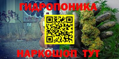 прущие крисы Канаш