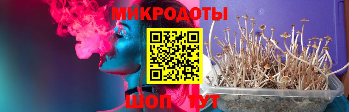 Псилоцибиновые грибы прущие грибы Дятьково